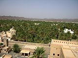 Muscat 06 Nizwa 09 Round Tower View Of Palm Trees In one direction the Round Tower offers a view of the town�s mud brick homes, surrounded by a thick palm oasis.